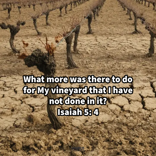 The Worthless Vineyard